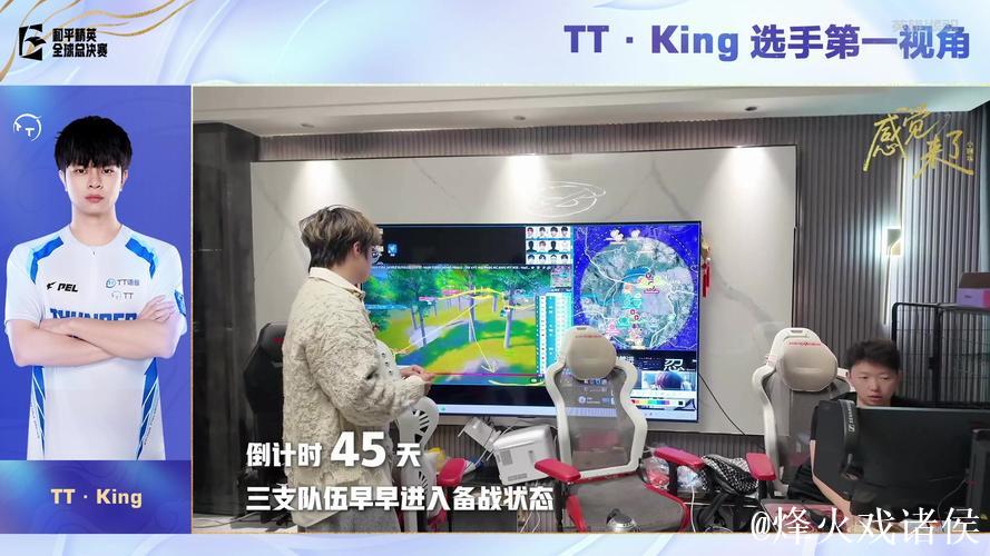 2025PMGC决赛Day2选手第一视角：TT-King（嘉宾LGD-猫猫）