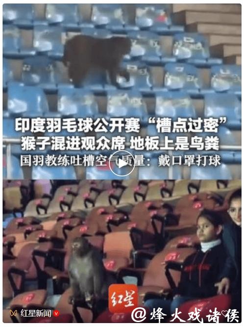 世界羽联回应印度公开赛猴子入场、落鸟粪等问题 世界羽联回应印度公开赛猴子入场、落鸟粪等问题